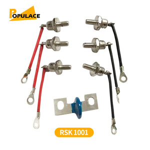 ไดโอดเรียงกระแสแบบหมุน Populace Rsk1001 25a ไดโอดเรียงกระแสแบบสามเฟส สำหรับอุปกรณ์เสริมเครื่องกำเนิดไฟฟ้าดีเซล - Product Image 1