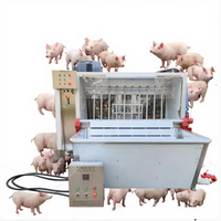 Machine d'abattage de porcs machine de dépilage de porcs à vendre machine d'échaudage et de dépilage de porcs de moutons entiers