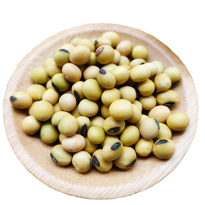 Wholesale Export Non GMO Yellow Soybean