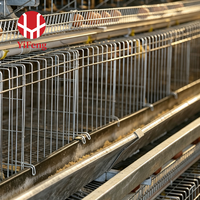 Cage de ponte de type A haute densité à 4 niveaux avec alimentation et abreuvement automatiques, collecte d'œufs, vente en gros, système de collecte de fumier, abreuvoir à tétine galvanisé