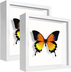 Bán buôn tùy chỉnh khung gỗ hiển thị với thư dán khung ảnh của kích cỡ khác nhau cho bóng hộp hiển thị - Product Image 3