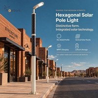 Lampadaire solaire hexagonal extérieur avec luminaire LED pour routes résidentielles et zones de stationnement