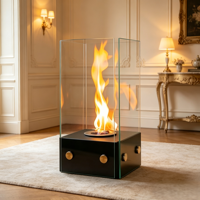 Cheminée au bioéthanol contemporaine haut de gamme pour bureau, avec écran en verre transparent, combustion sans fumée, pour aménagement de terrasse extérieure