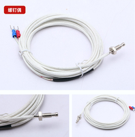 Sonde à vis en acier inoxydable à 2 fils Type E J K Capteur de haute température Rtd Thermocouple M6