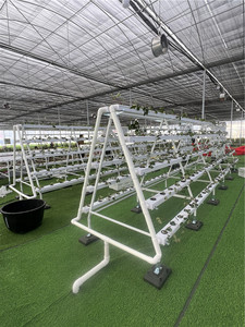 Sistema Hidropónico de Tubería de PVC, Sistemas de Cultivo Hidropónico Verticales y Horizontales Personalizados, Agricultura <span class=keywords><strong>NFT</strong></span>, Canal <span class=keywords><strong>NFT</strong></span> - Product Image 4