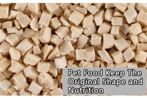 Lyophilisateur pour usage domestique avec porte de chambre transparente - Product Image 2