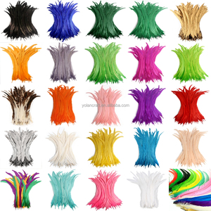 <span class=keywords><strong>Plumes</strong></span> de queue de coq teintes sur mesure en gros, de haute qualité, pour la décoration de costumes <span class=keywords><strong>et</strong></span> l'embellissement - Product Image 3