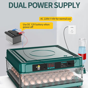 Hoàn toàn tự động trứng nở Máy ấp trứng 220V/110V/12V 48 Gà Chim Cút vịt ngỗng chim bồ câu trứng lồng ấp - Product Image 3