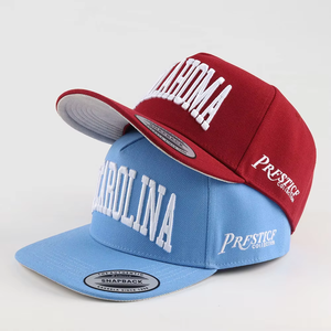 Casquette de baseball sportive en sergé 100 % coton, 5 panneaux, bicolore, respirante, imperméable, pour activités de plein air, avec broderie 3D personnalisée – Vente en gros - Product Image 1