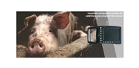 Scanner à ultrasons vétérinaire portable machine numérique 5 pouces écran pour chiens chats porcs bovins moutons