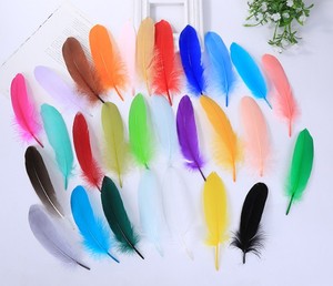 Nhuộm màu sắc khác nhau HP-72 ngỗng pallettes 7-9inch cho nghề - Product Image 5