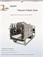 Commerciële vacuümvriesdroogmachine met SUS304 materiaal, automatische bediening en energiebesparende functies voor de verwerking van voedsel en fruit.