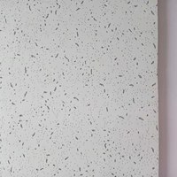 Panneaux lumineux LED pour plafond suspendu 2x2