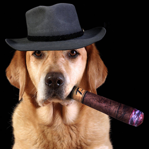 Sigaret Sigaar Piepen Speelgoed Voor Honden Pluche Knagen Speelgoed - Product Image 5
