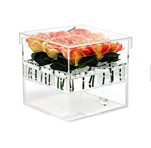 Vitrines pour jouets et poupées, présentoirs en acrylique transparent, supports d'exposition pour objets de collection, solutions de rangement anti-poussière - Product Image 3