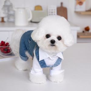 מחיר מפעל מותאם אישית סיטונאי XXS ג'ינס ג'ין פס מכנסי קלע לחיות מחמד בגדי כלבים בגדי גברים בגדי בוטיק לכלבים קטנים - Product Image 2