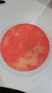 Parche de Energía Terahertz con Certificación CE para Cuello, Hombros, Espalda, Estómago, Rodillas, Brazos y Piernas - Product Image 6