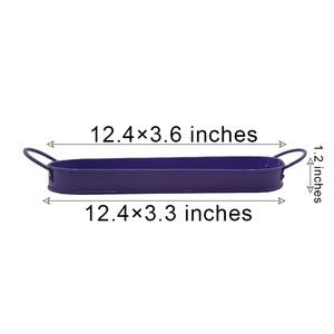 Vente directe 0.2 gallons ovale Pot de <span class=keywords><strong>fleur</strong></span> <span class=keywords><strong>Rectangle</strong></span> décoratif personnalisé Pot de <span class=keywords><strong>fleur</strong></span> en métal plateau avec poignées pour la décoration intérieure - Product Image 2