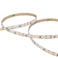 Fabrik liefert S-förmige LED-Streifenleuchte 120 LEDs 12VDC, ultraflexibel, biegsame Leiterplatte für gebogene Installation
