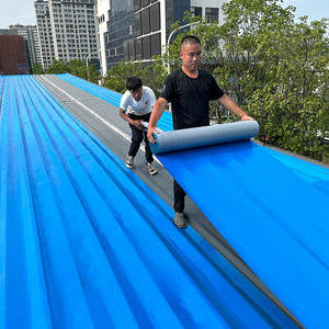 Los protectores <span class=keywords><strong>de</strong></span> lámina <span class=keywords><strong>de</strong></span> plástico a prueba <span class=keywords><strong>de</strong></span> lluvia aplicados en el techo del sol aíslan el <span class=keywords><strong>calor</strong></span> y resisten la lluvia y la nieve - Product Image 6