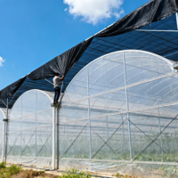 Serre multi-spans à bas prix pour tomates, serre personnalisée, cadre en acier galvanisé à chaud, serres pour légumes