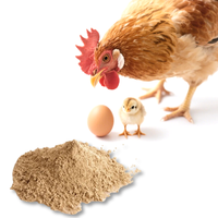 Prémélange alimentaire certifié FAMI-QS/ISO/GMP oligo-éléments organiques enzymes vitamines acides aminés pour poulet de chair poulet pondant des œufs