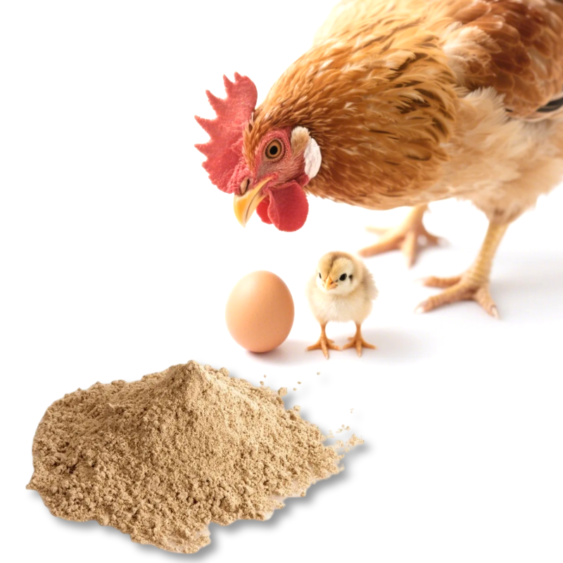 Animal Feed Additives Poultry Feed Additives