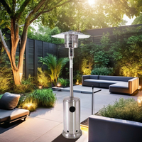 Champignon moderne en forme de parapluie extérieur infrarouge gaz Patio chauffage fer acier inoxydable GPL Propane pour Garden Party Camping