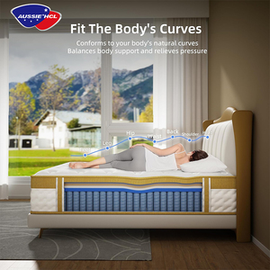 Thoải Mái Vải Euro Top Pocket Mùa Xuân Nệm Bao Bì Chân Không Chất Lượng Cao Latex Bộ Nhớ Bọt Nệm - Product Image 3