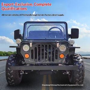 UTV Fuoristrada a Quattro Ruote Willis per Cross-Border, Moto da Fuoristrada, Kart All-Terrain, Motore a Benzina 110cc, Carico 300kg, Modello Beach - Product Image 2