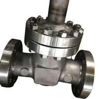 Vanne à soupape manuelle flexible cryogénique à tige longue en acier inoxydable API/API 6D avec joints de disque PCTFE DN10-DN200