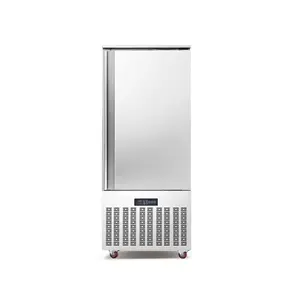 Máy Đóng Băng Nhanh Bằng Không Khí Giá Nhà Máy Thương Mại IQF Blast Freezer 10 Chảo Loại Đường Hầm Máy Đơn