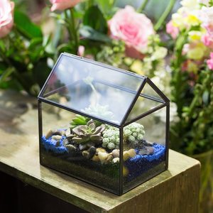 Hot Selling Sukkulenten Moos Farn Pflanze Glas <span class=keywords><strong>Terrarium</strong></span> Kleine Schwarz gold Hausform Glas Schließen <span class=keywords><strong>Terrarium</strong></span> mit Schaukel deckel - Product Image 2