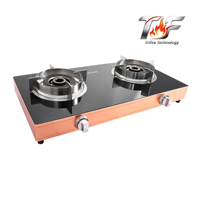 Trifire Hot Sale di Asia Tenggara Kompor Gas 2 Tungku Hemat Energi + Meja Kompor Keramik