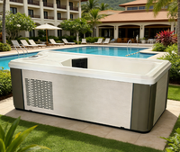 Bain de glace commercial tout-en-un en acrylique avec LED, spa et piscine à double cuve pour bain froid, avec refroidisseur et filtre, à vendre