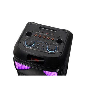 Sistema de Karaoke Portátil con Micrófono Inalámbrico, Luz RGB, Alimentación por Batería, Entrada AUX para Fiestas - Product Image 3