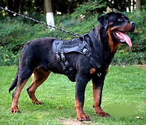 Aksesoris Hewan Peliharaan Grosir Mewah, Harnesses Anjing K9 Taktis Anti-Lepas, Kuat dan Tahan Lama, Dapat Disesuaikan, Logo Kustom untuk Anjing - Product Image 1