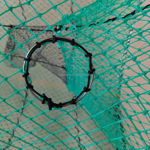 Hot <strong>Sale</strong> 75 cm *180 cm slinky <strong>Pot</strong> Folding Framed Trap <strong>Lobster</strong> Traps Fish <strong>Pots</strong> Green Web <strong>for</strong> New Zealand - Product Image 2