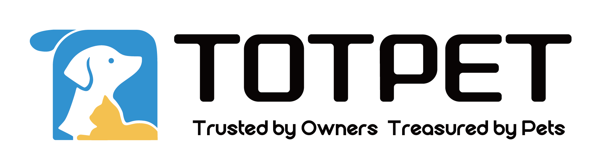 Sichuan Topteng Technology Group Co., Ltd. logo