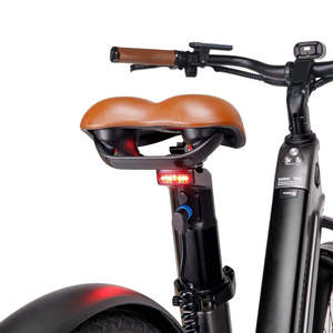 Vélo de ville sportif <span class=keywords><strong>en</strong></span> fibre de carbone <span class=keywords><strong>EN</strong></span> <span class=keywords><strong>15194</strong></span>+CE, moteur arrière sans balais 750W, batterie au lithium 48V 20Ah, freins à disque hydrauliques 7 vitesses - Product Image 4