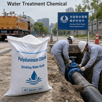 Chlorure de polyaluminium de qualité alimentaire, poudre blanche PAC 30% pour la purification de l'eau potable
