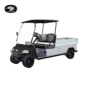 Carrinho de golfe elétrico UTV Evolution para venda, carrinho utilitário UTV com caixa de carga grande 48V HDK