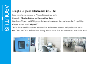 <span class=keywords><strong>Chargeur</strong></span> USB <span class=keywords><strong>Batterie</strong></span> DC 1.4V 300mAh AA / DC 1.4V 250mAh AAA <span class=keywords><strong>Chargeur</strong></span> de <span class=keywords><strong>batterie</strong></span> GC-901 <span class=keywords><strong>portable</strong></span> 1.2v AA/AAA <span class=keywords><strong>Chargeur</strong></span> de NI-CD - Product Image 3