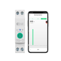 Sakelar Pemutus Sirkuit WIFI Smart Switch 63A 1P dengan Pengukuran Daya, Pemantauan, Timer, dan Relay untuk Rumah Pintar dengan Kontrol Jarak Jauh Nirkabel