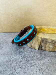 ปลอกคอสุนัขหนังสีเทอร์ควอยซ์พร้อมแผ่นรองนุ่ม - Product Image 2