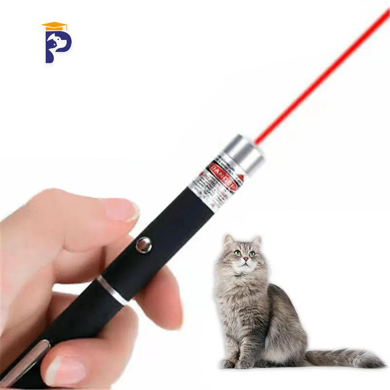 Laser pointer for cats