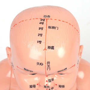Modelo de masaje pediátrico con puntos de acupuntura y meridianos para la formación de enfermeras, parteras y mujeres embarazadas - Product Image 2