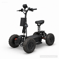 Scooter électrique à quatre roues avec siège, 3600 à 10000W, 16 pouces, tout-terrain, vente en gros