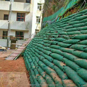 Sac de sable écologique de contrôle d'érosion de <span class=keywords><strong>gabion</strong></span> de géotextile de Geobag <span class=keywords><strong>pour</strong></span> la protection côtière de pente de port de terres agricoles côtières - Product Image 1