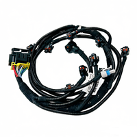 Arnés de Cableado de Inyección de Combustible para Motor, ODM OEM